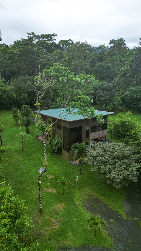 Cabaña rodeada de vegetación en Río Blanco