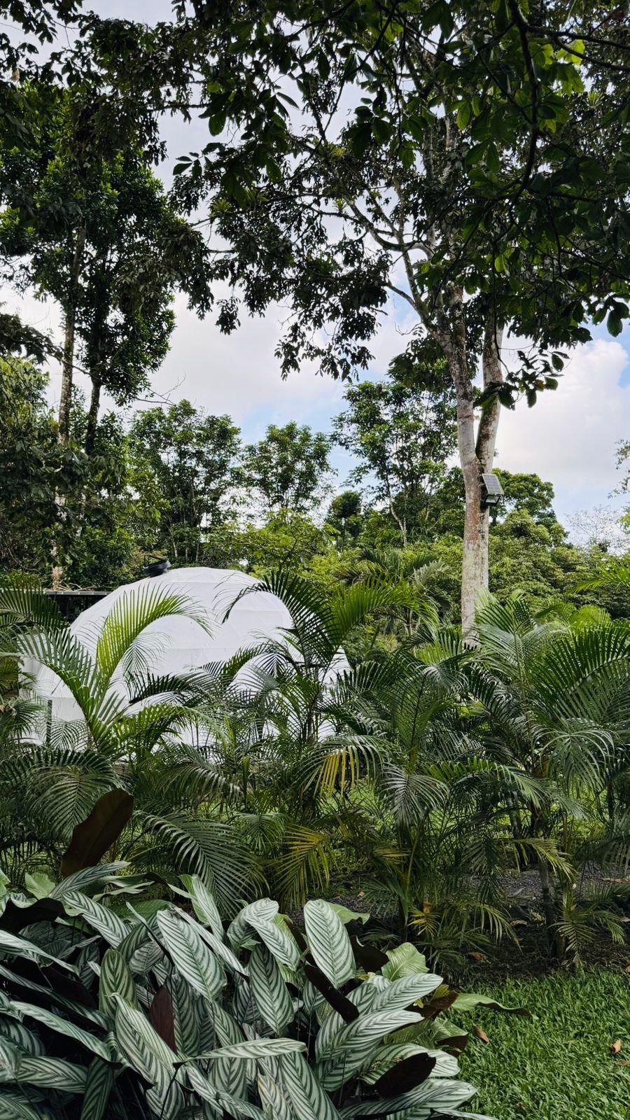 Natural Domos, vista 8 de 10