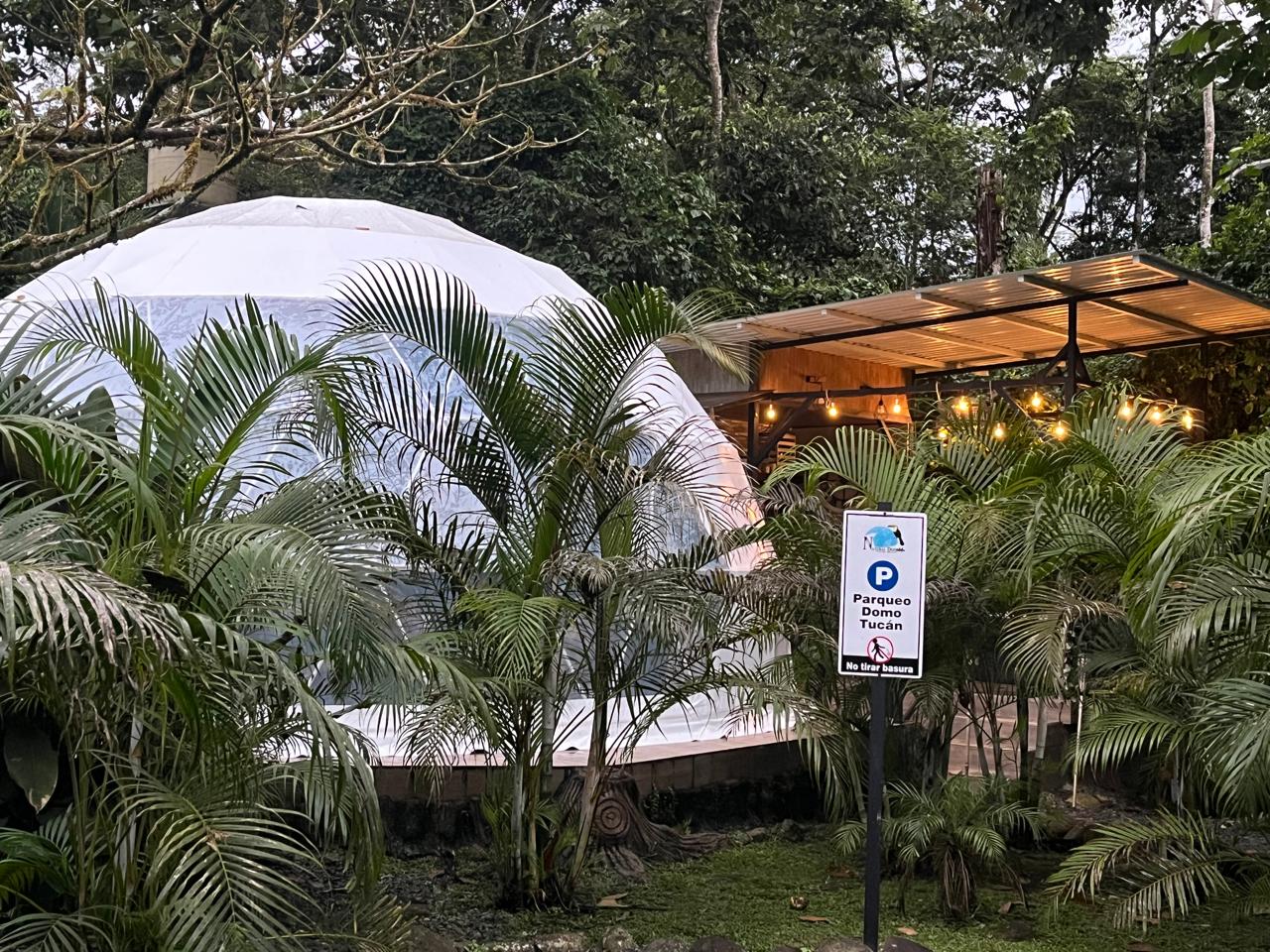 Domo blanco entre plantas tropicales